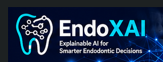EndoXAI logo